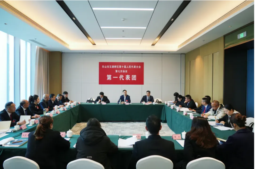  区十届人大七次会议分团审议和讨论相关工作报告 第 2 张